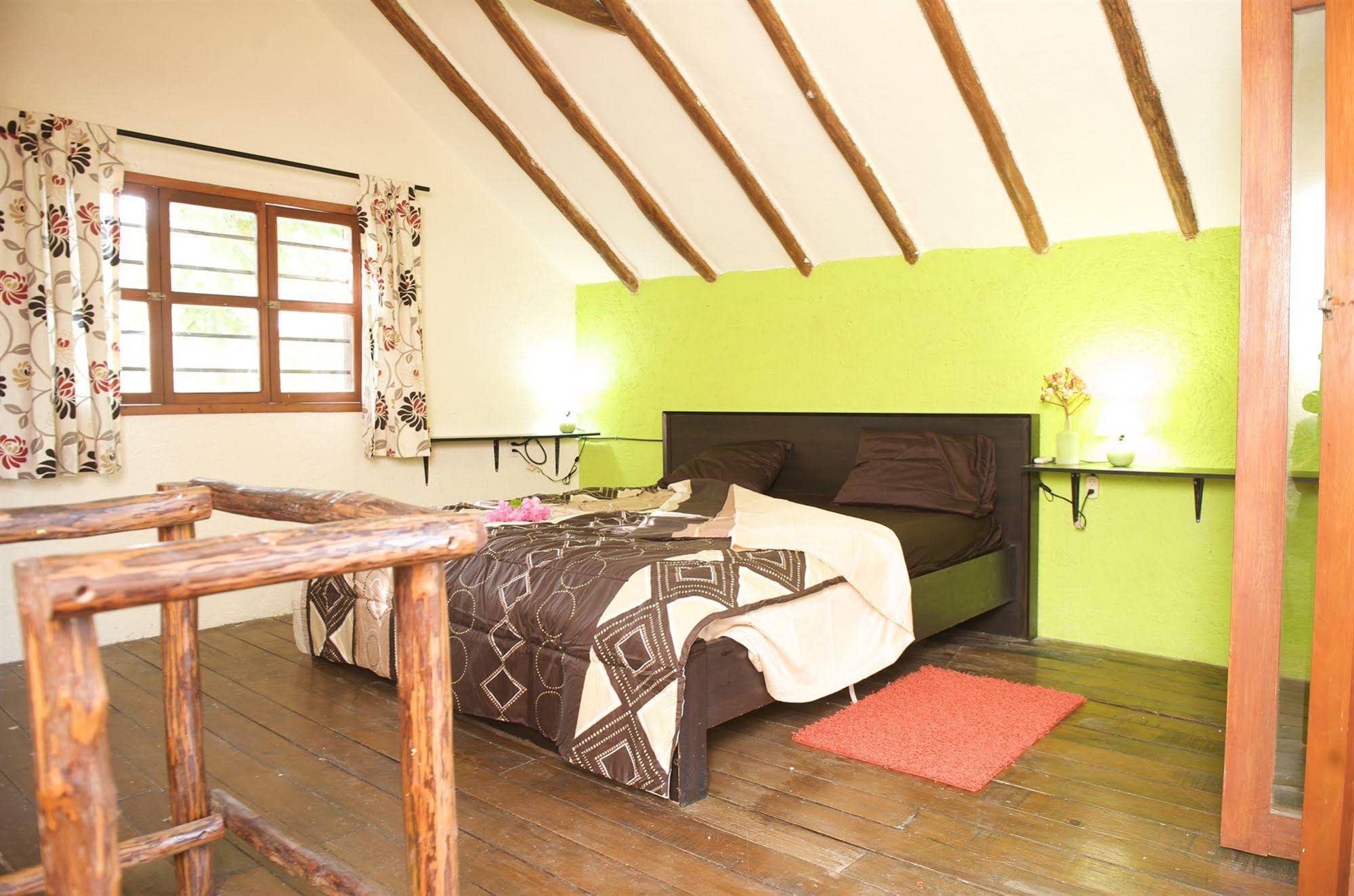 Casa Kiwi