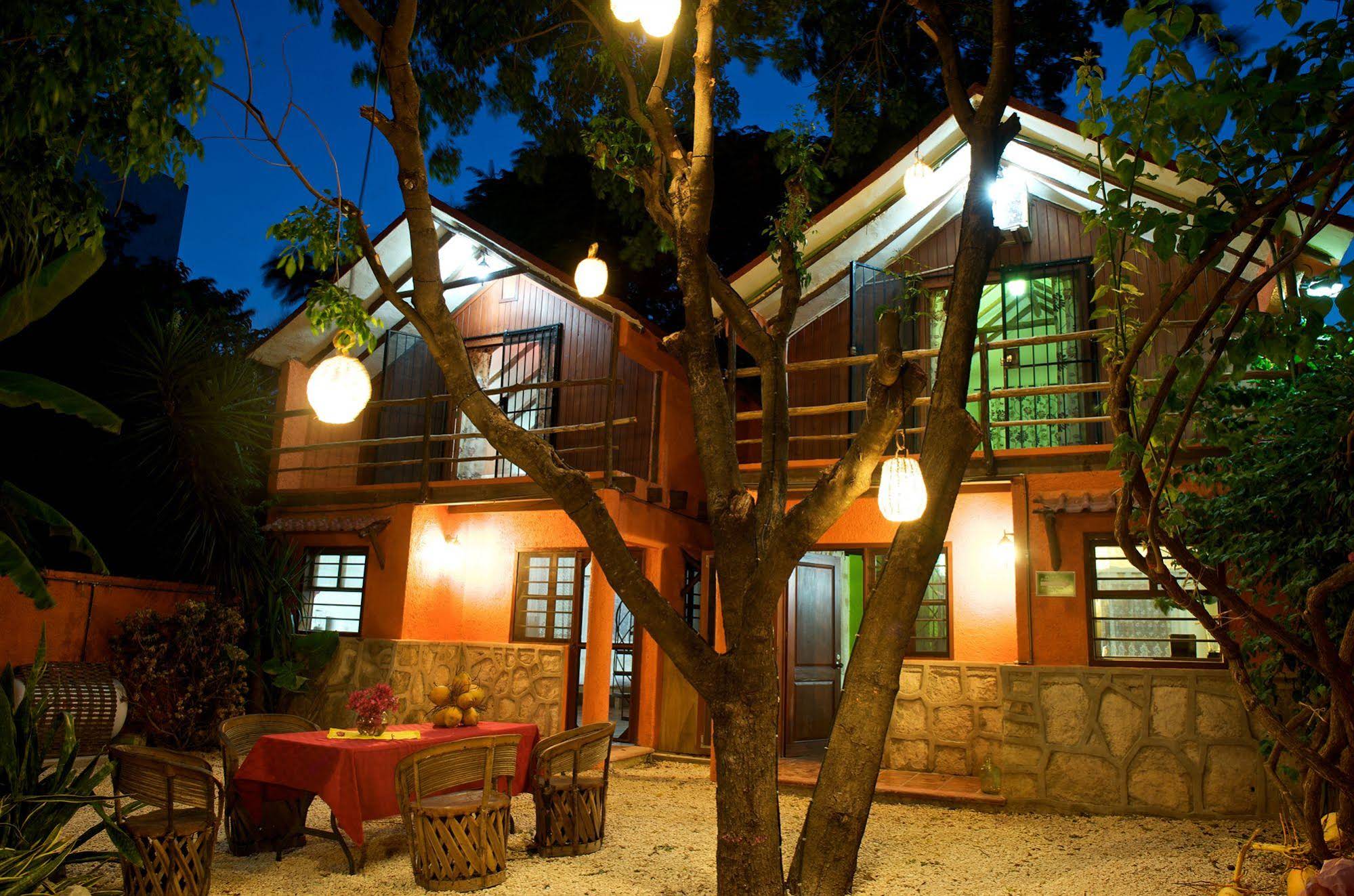 Casa Kiwi