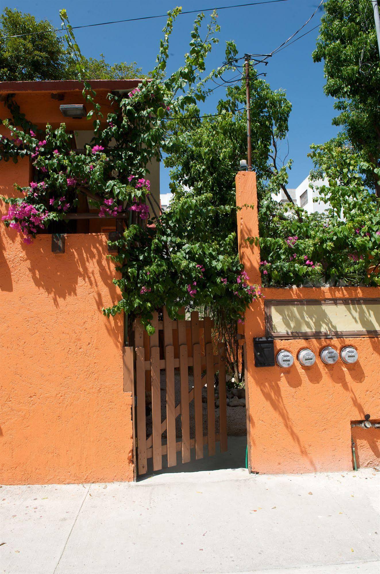 Casa Kiwi