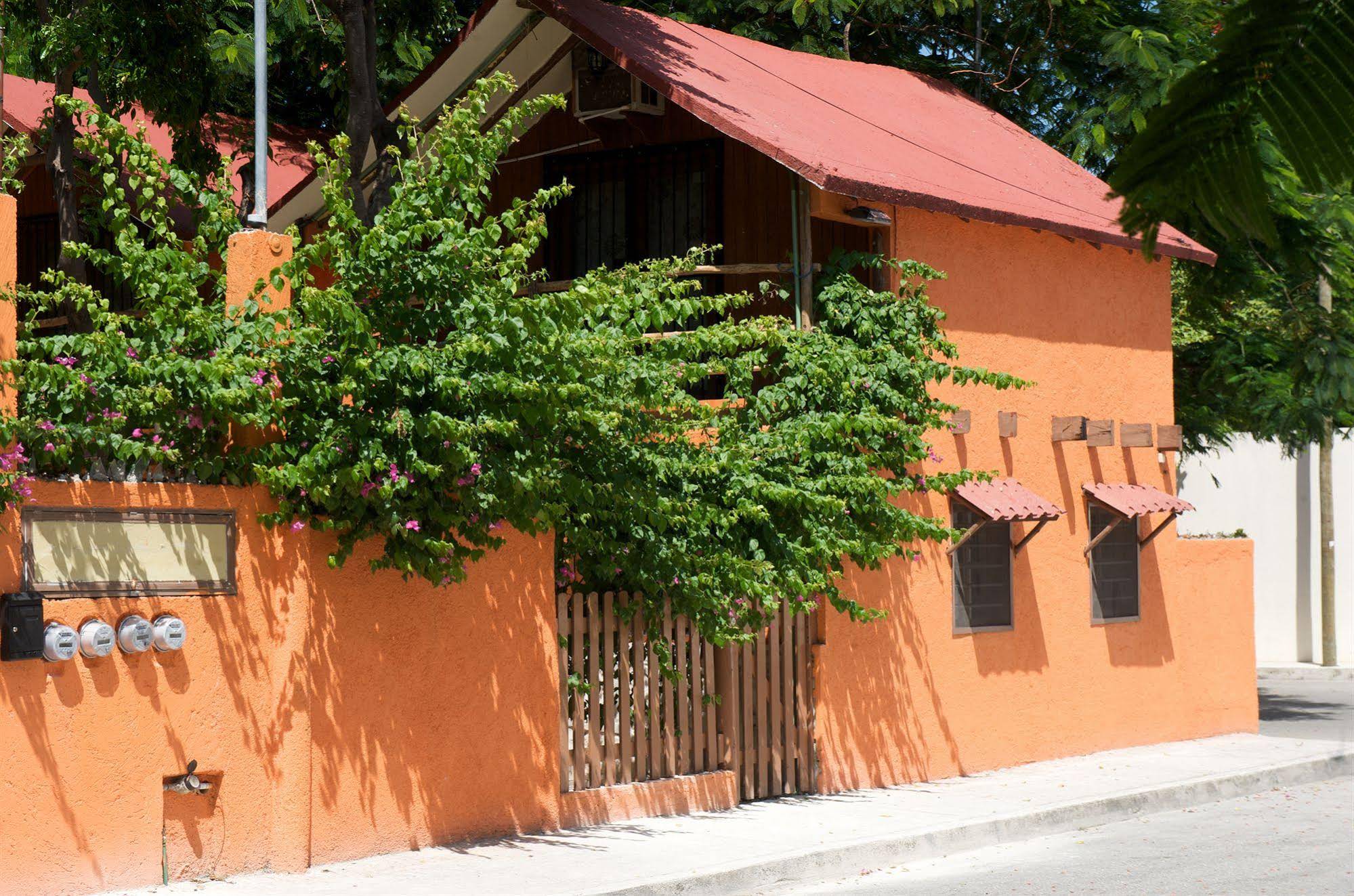 Casa Kiwi