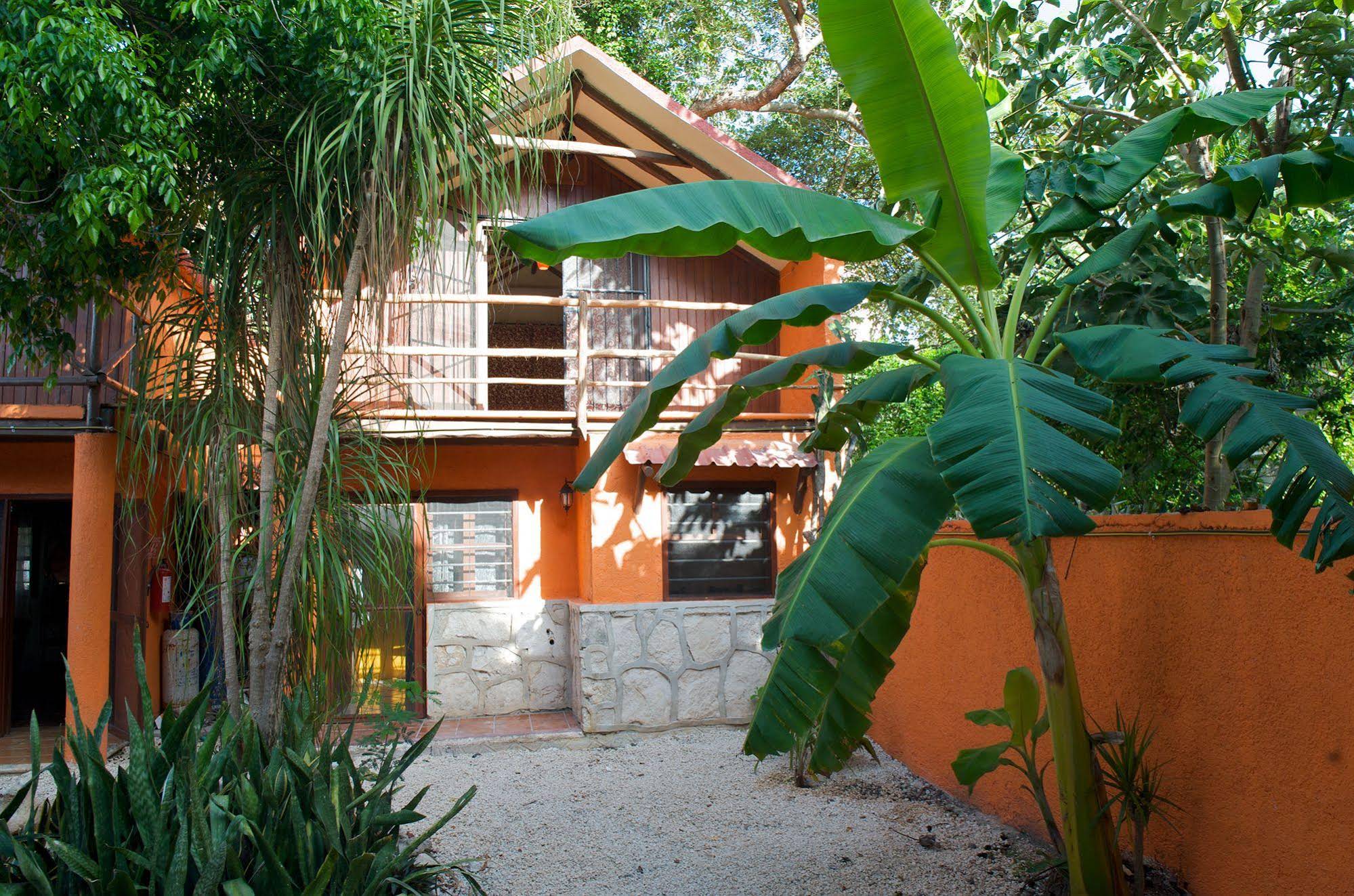 Casa Kiwi