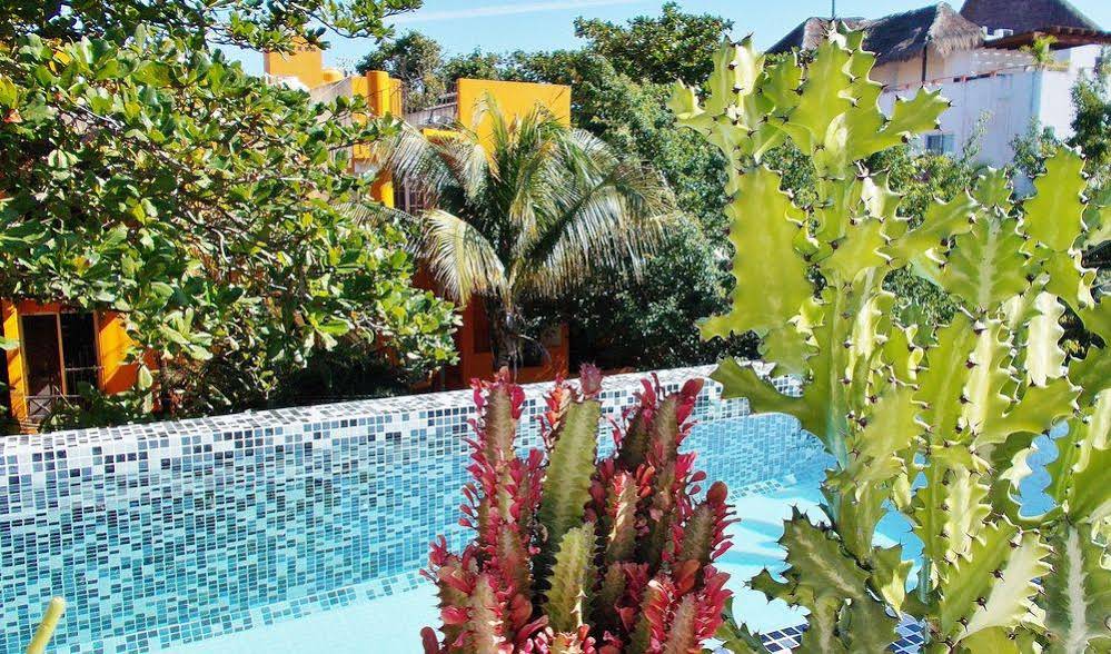 Casa Naaj Apartments