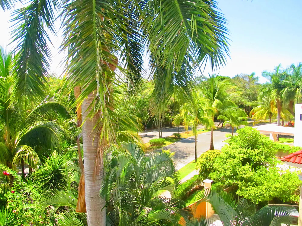 Casa Royal Palms by Playa Paradise