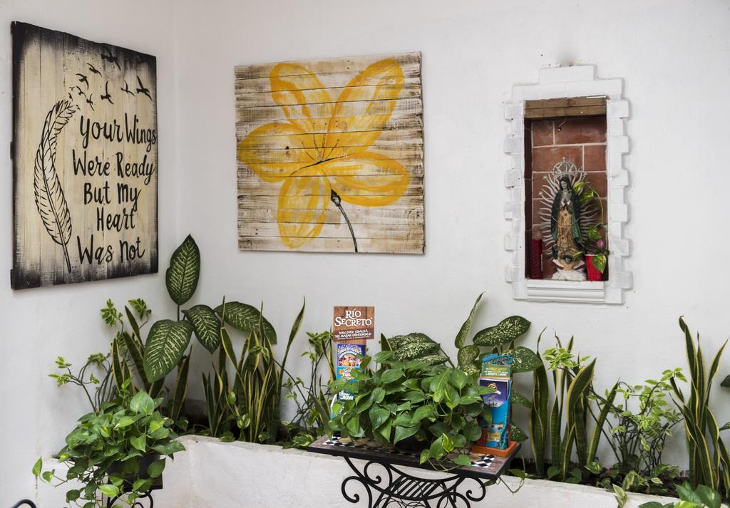 Coconut Hotel Boutique