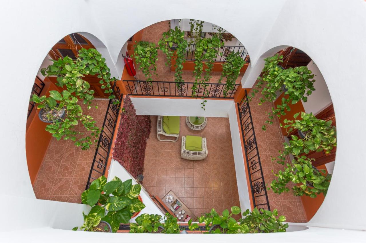 Alma y Mar Hotel & Suites