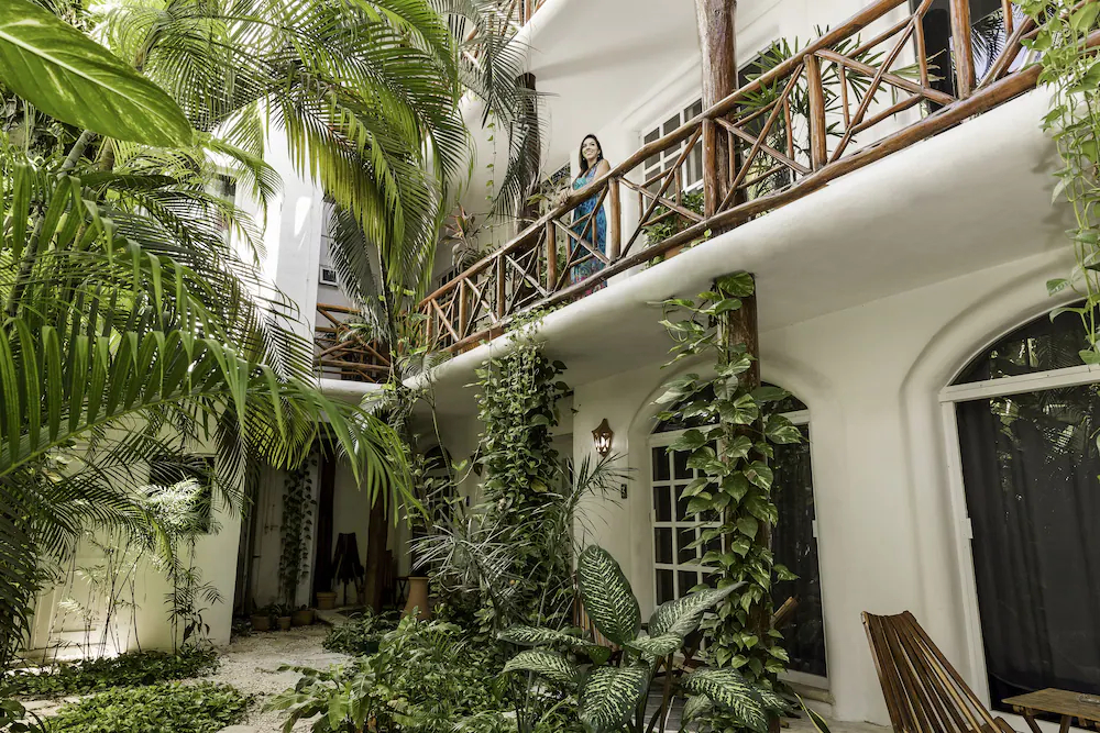 Estudios Selva y Mar