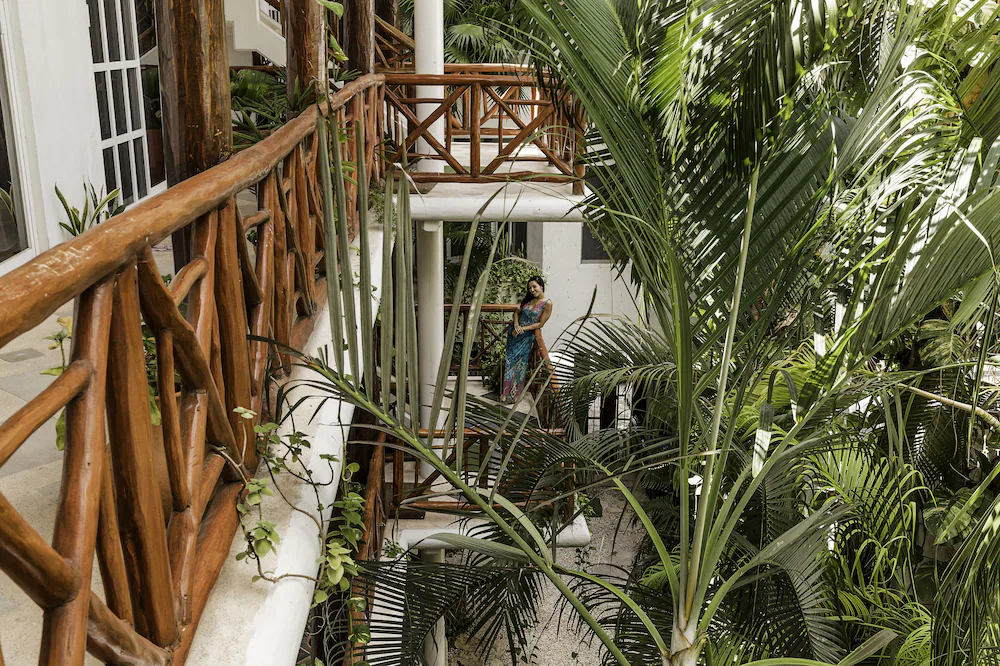 Estudios Selva y Mar