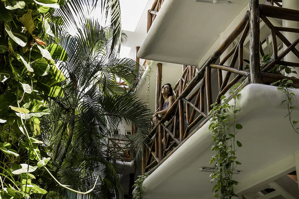 Estudios Selva y Mar