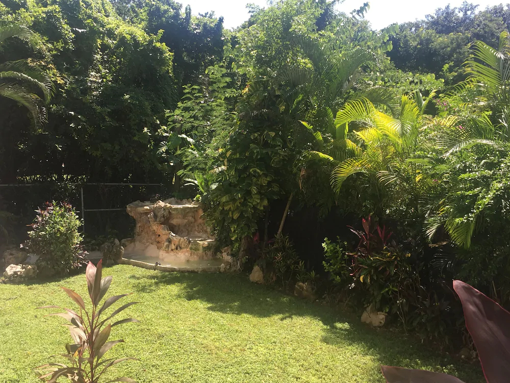 Green Oasis Home Boutique