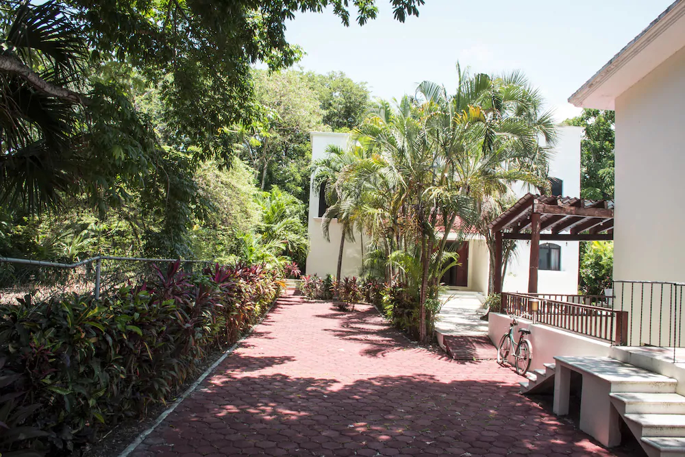 Green Oasis Home Boutique