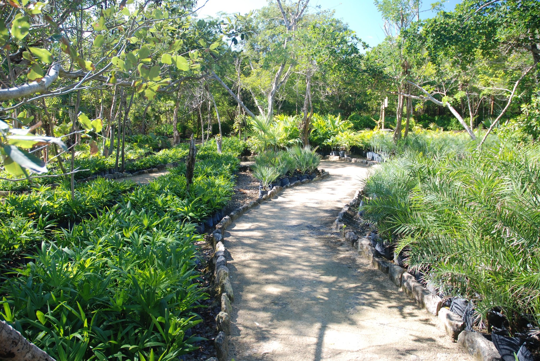 Kimpton Tres Rios Riviera Maya, an All-Inclusive Resort