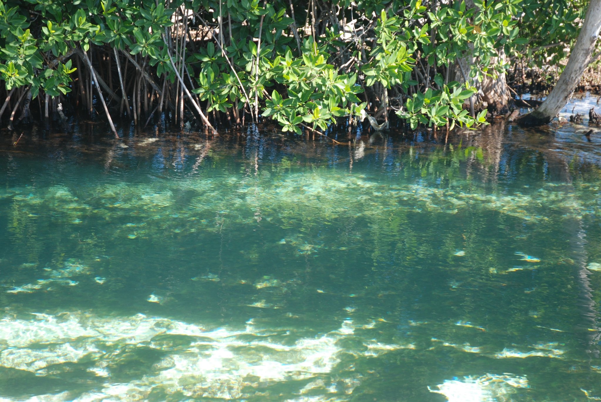 Kimpton Tres Rios Riviera Maya, an All-Inclusive Resort