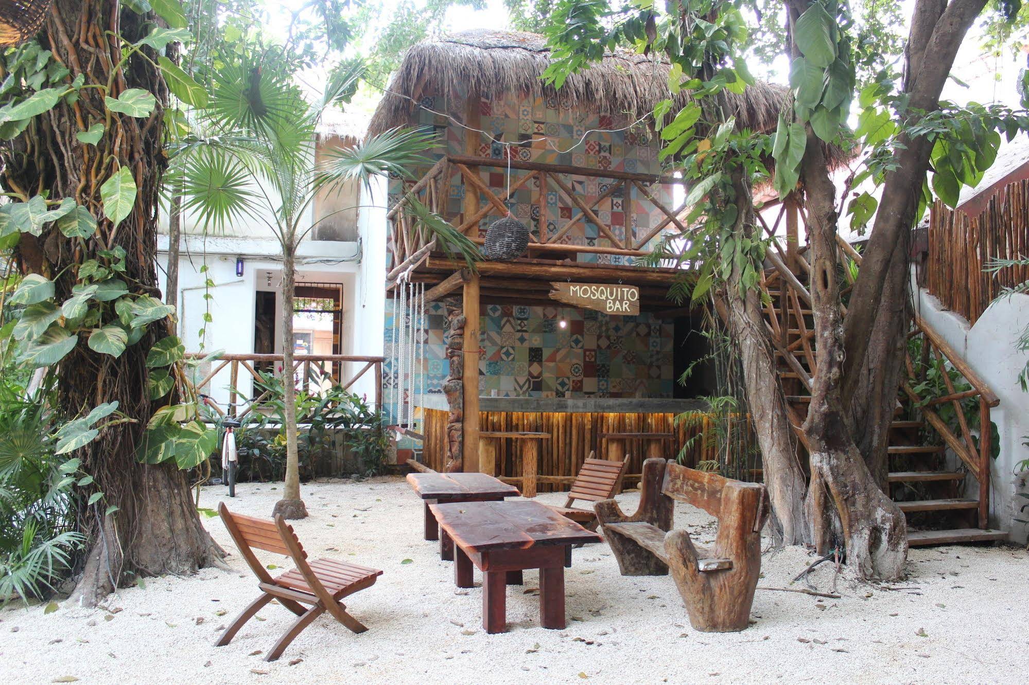 Hostal MX