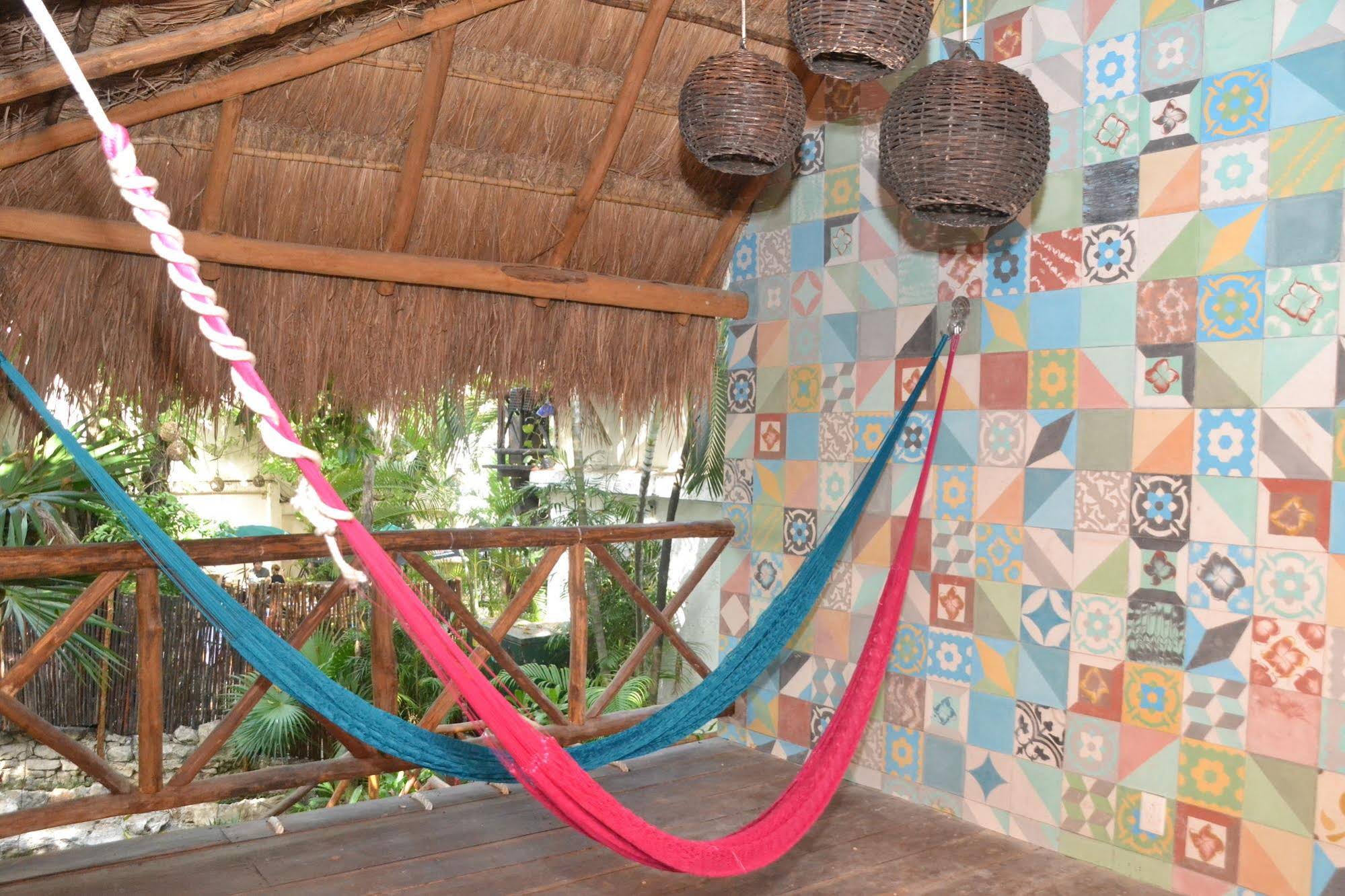Hostal MX