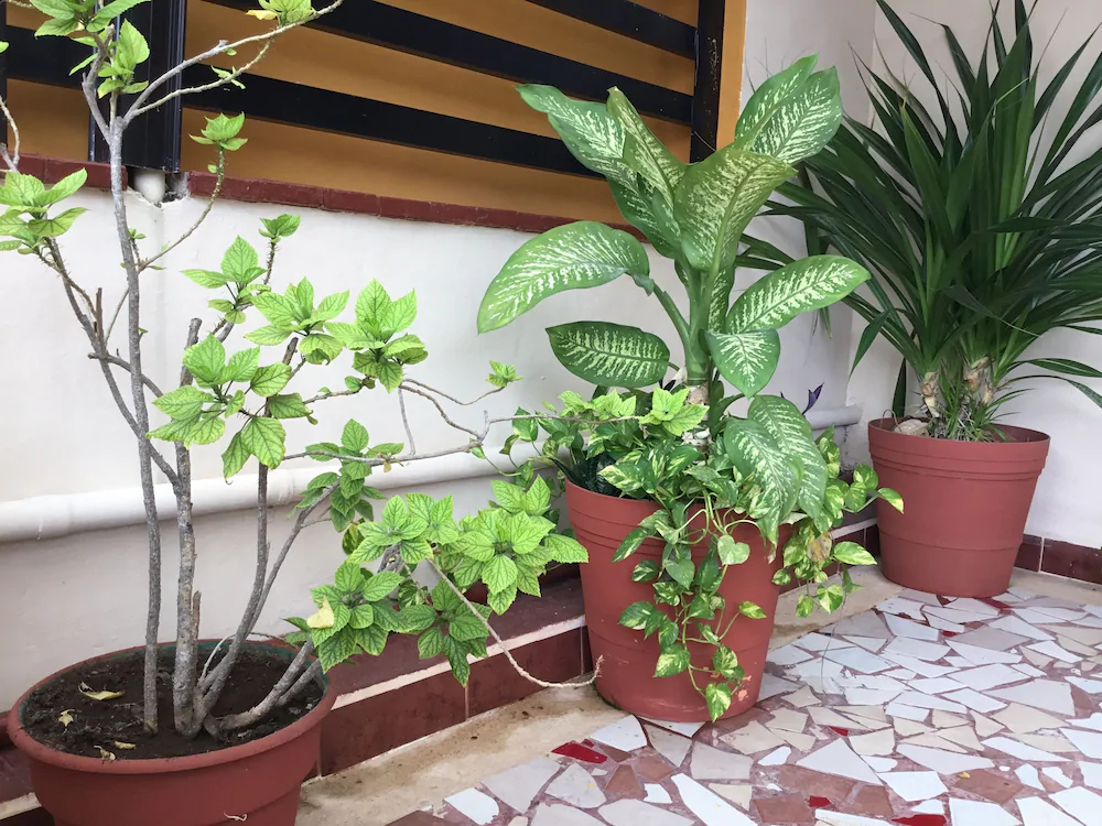 Hotel Pension San Juan