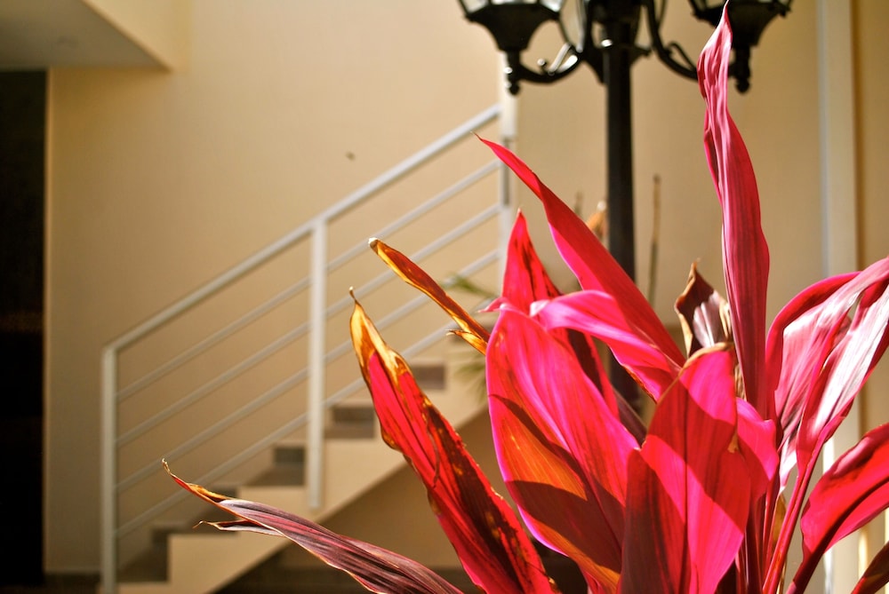 Hotel Punta Esmeralda