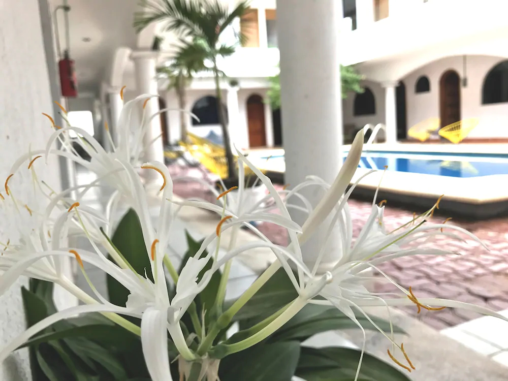 Hotel San Ignacio