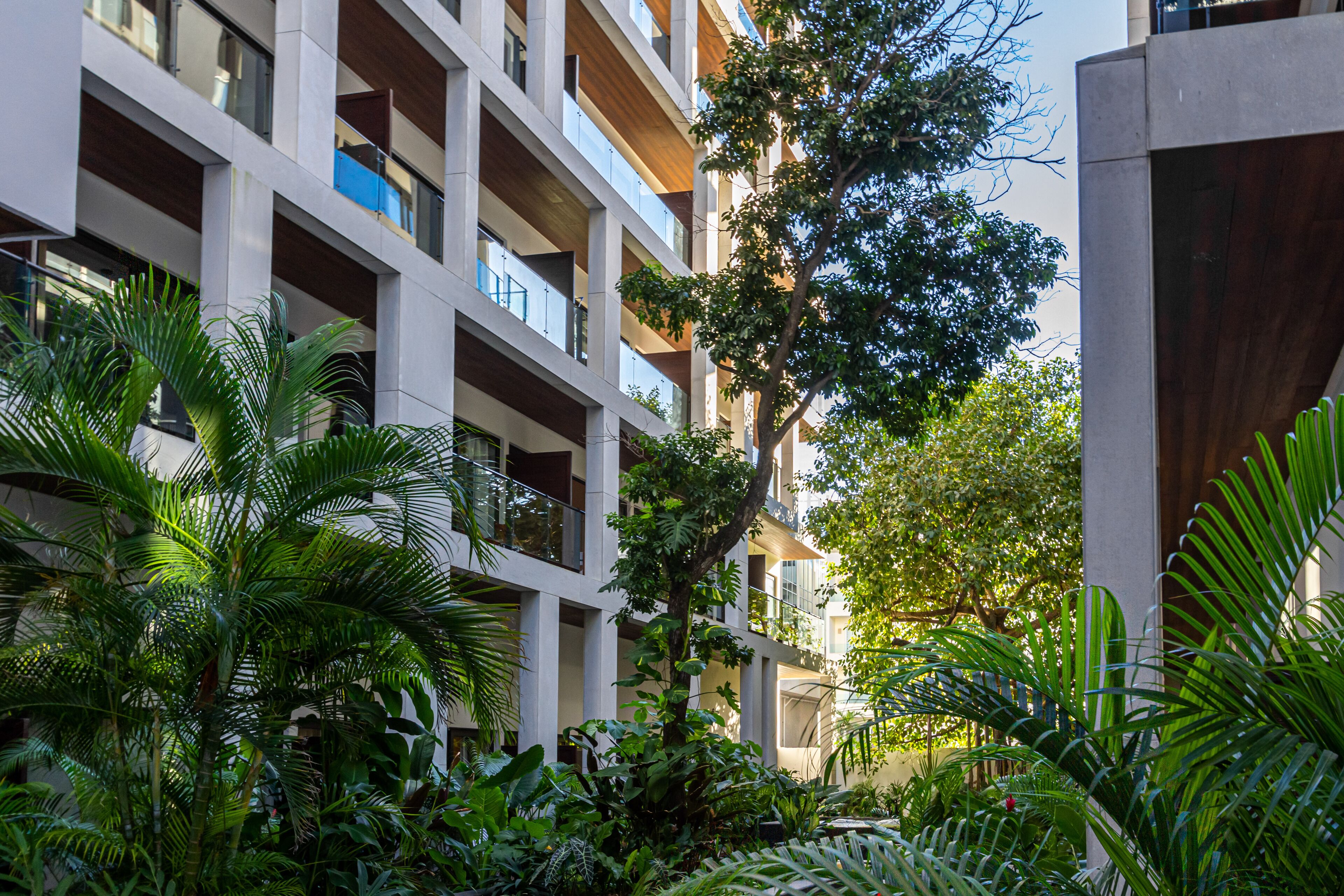 Ipana Apartment Deluxe