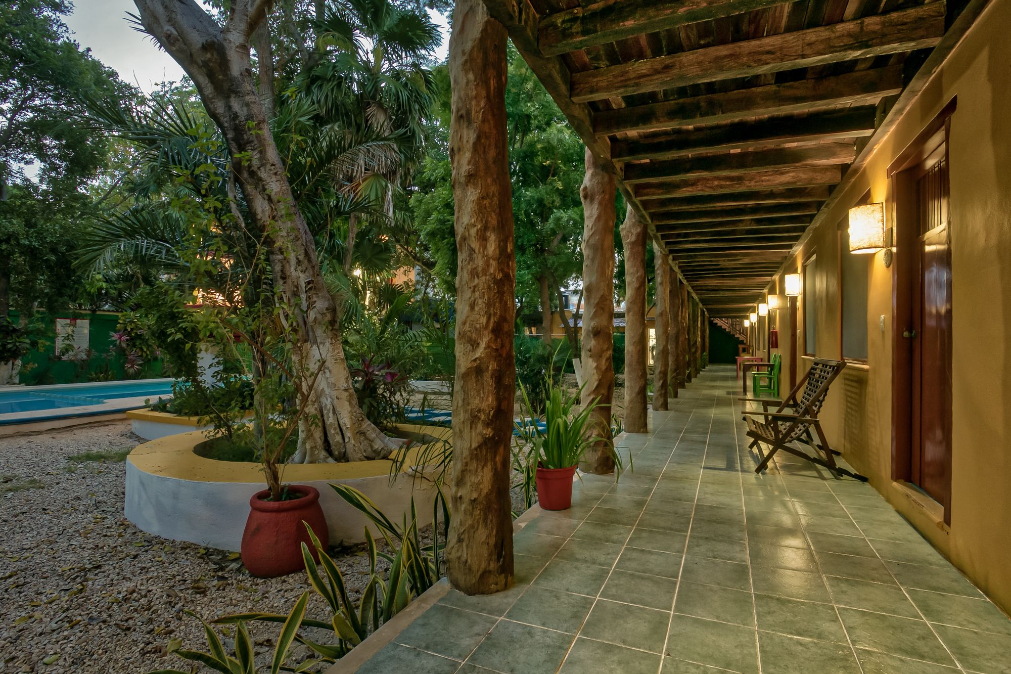 Esduma Iguanas Playa del Carmen