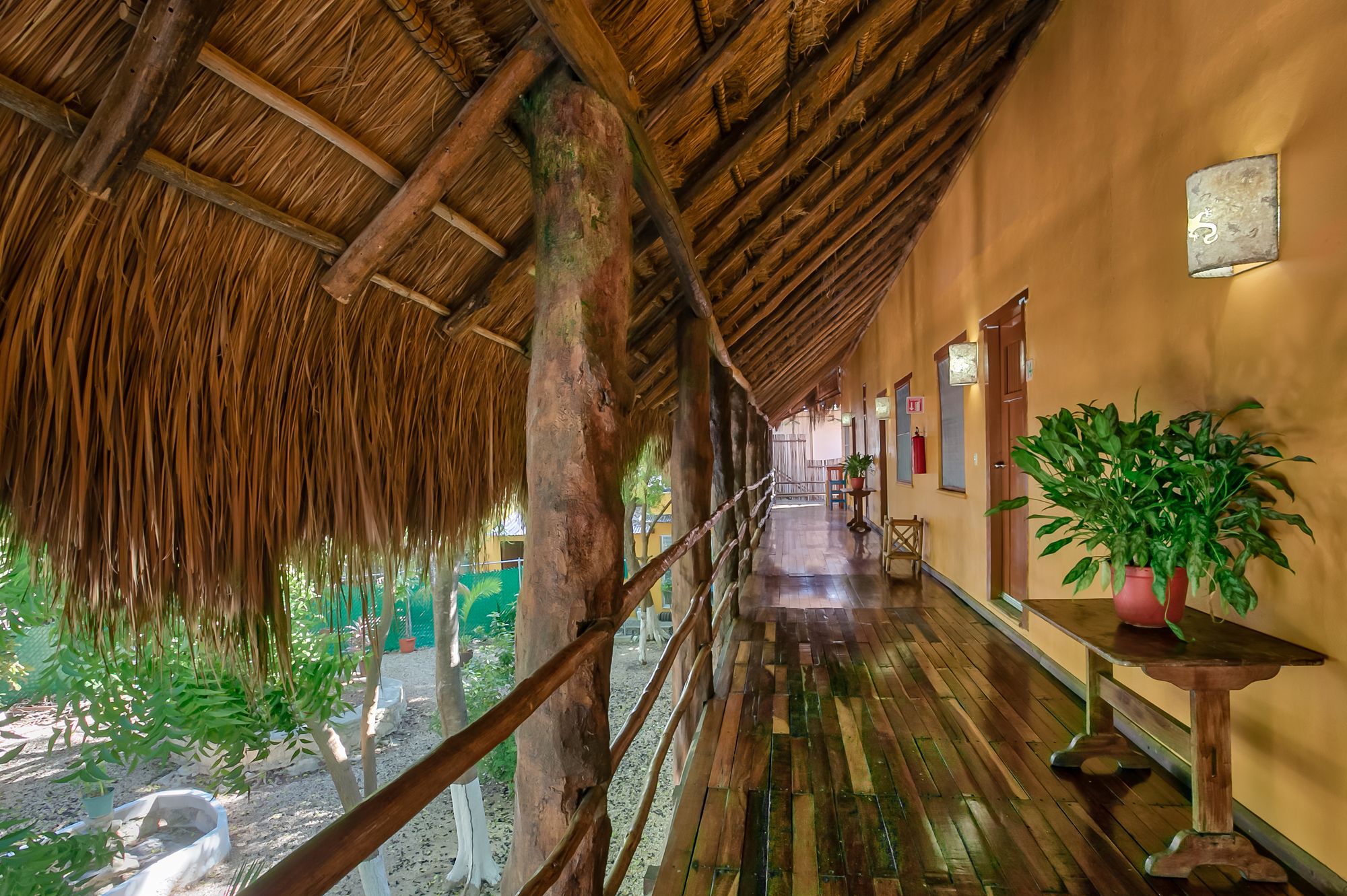 Esduma Iguanas Playa del Carmen