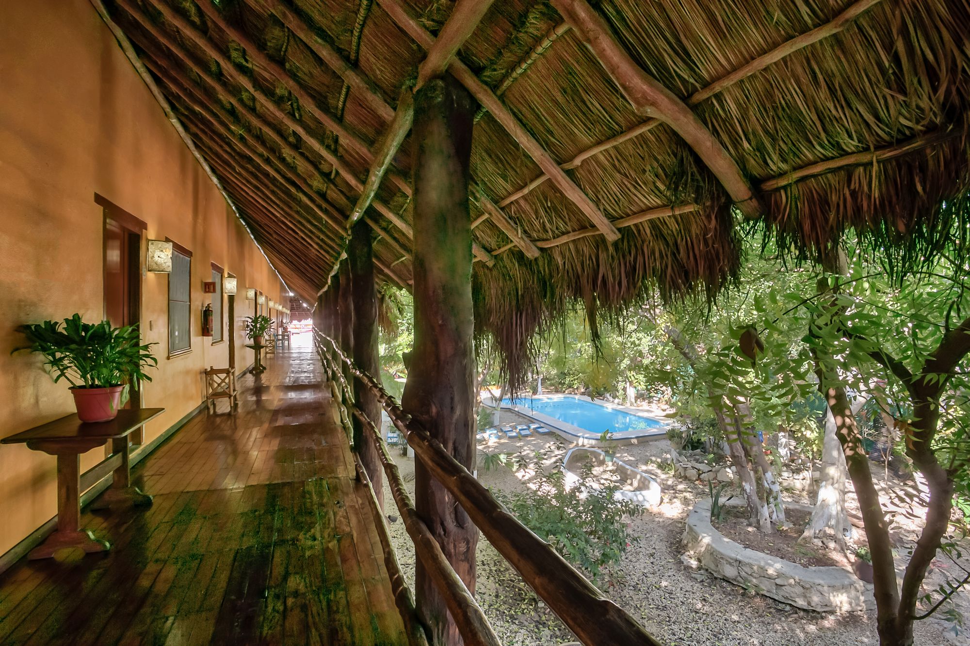 Esduma Iguanas Playa del Carmen