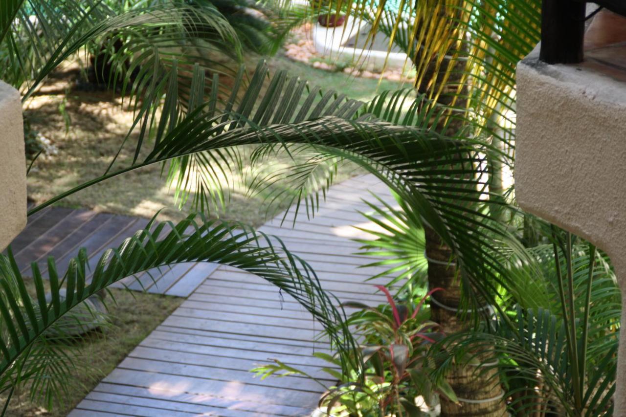La Tortuga Hotel & Spa