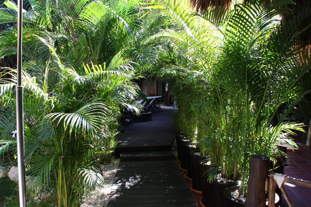 La Tortuga Hotel & Spa
