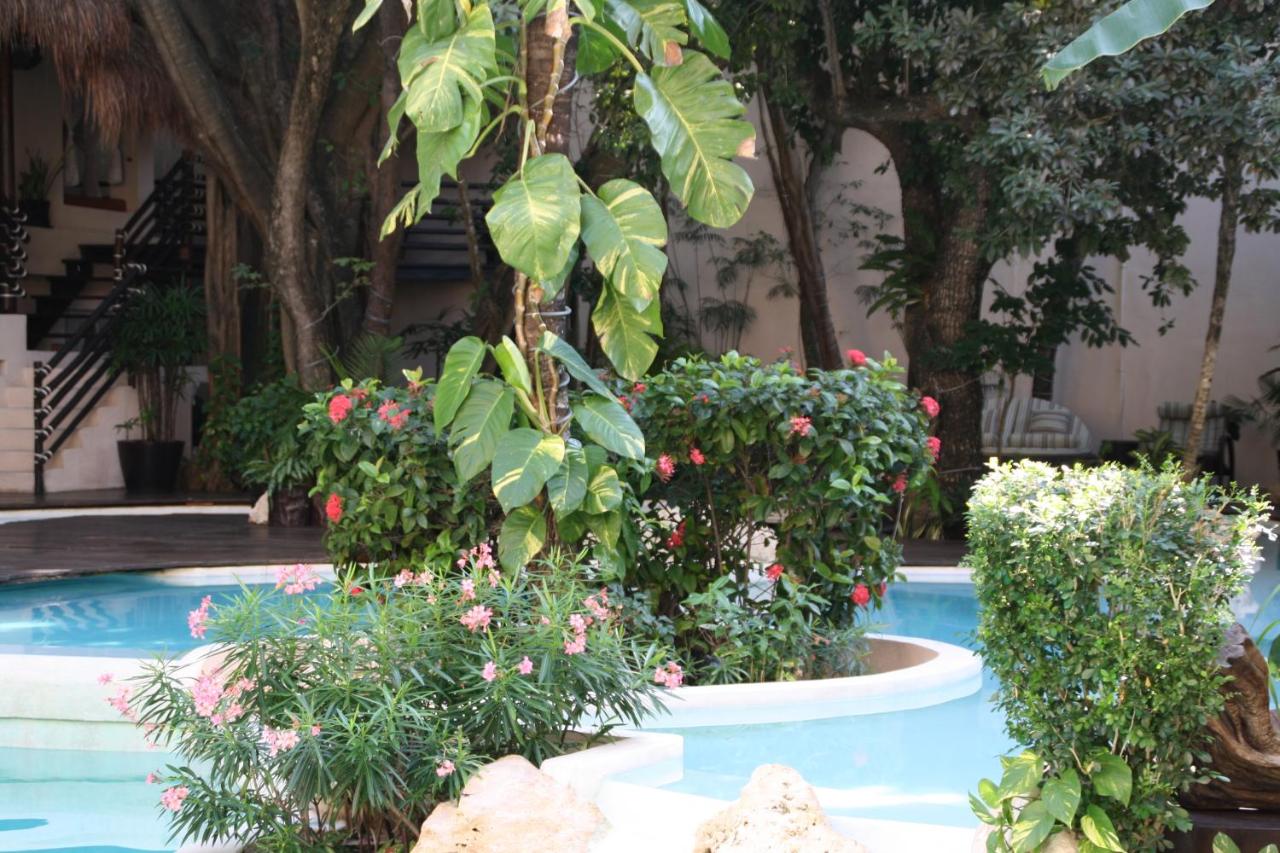 La Tortuga Hotel & Spa