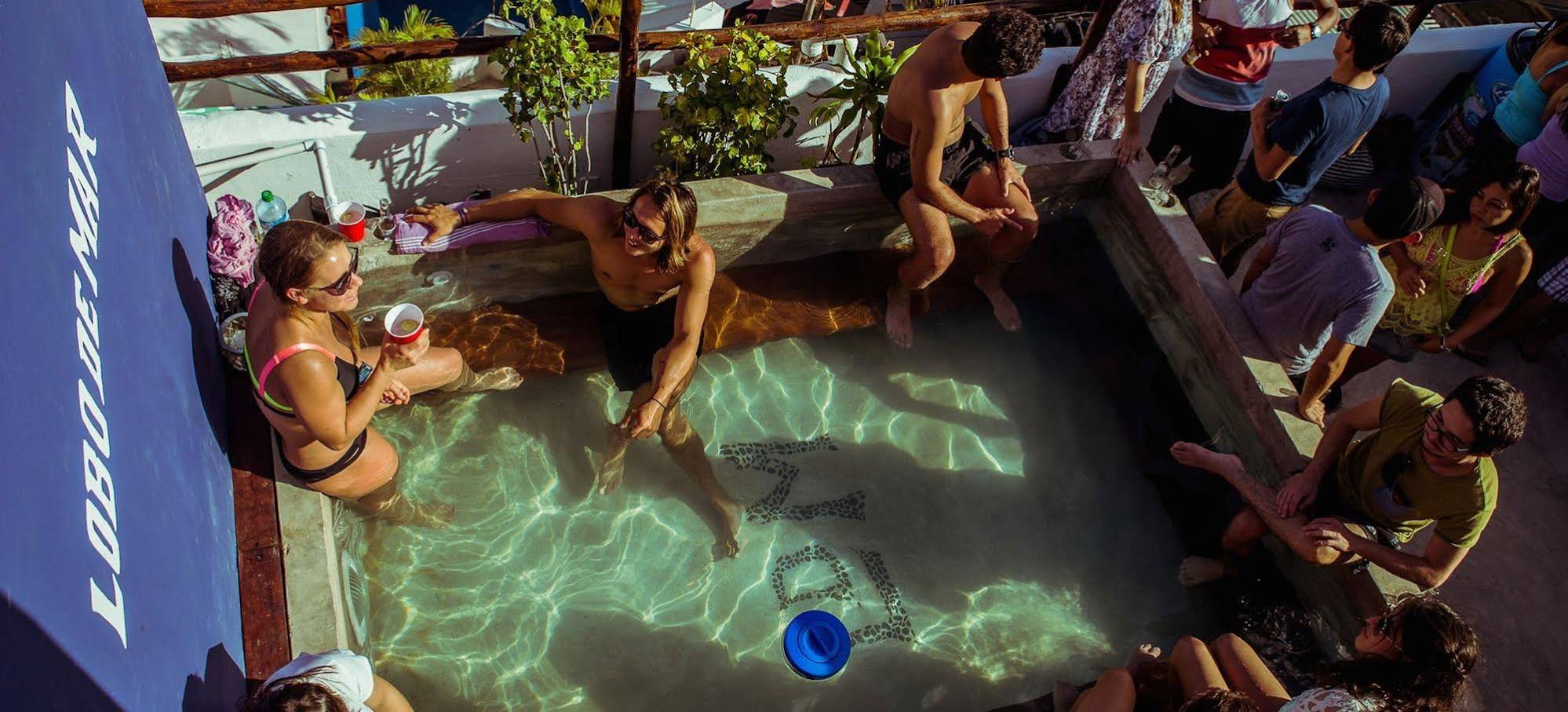 Lobo de Mar Hostel