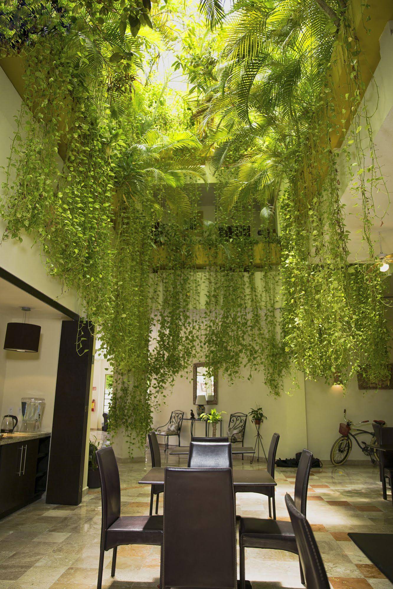 Los Itzaes Hotel