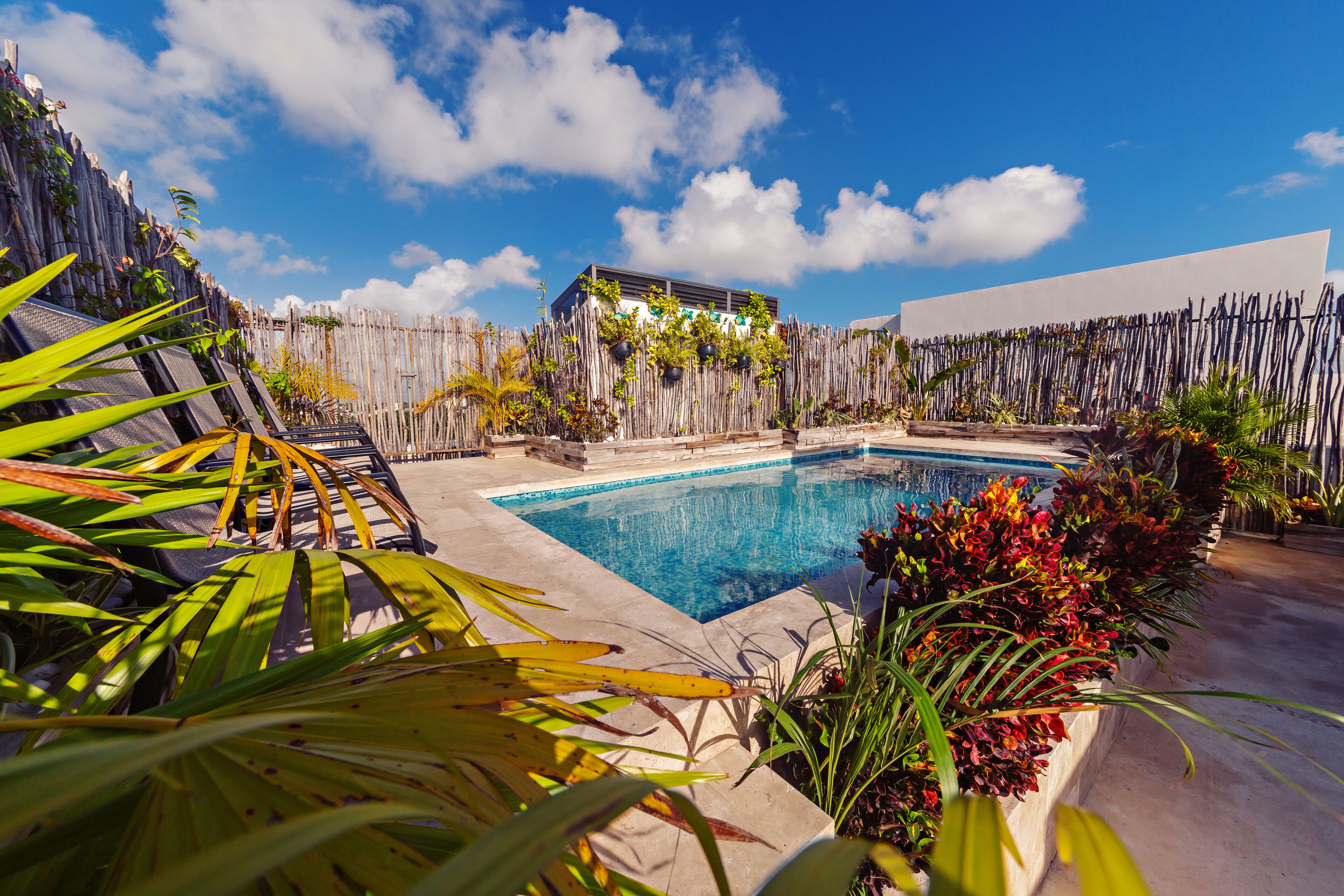 Condo Mar Arena