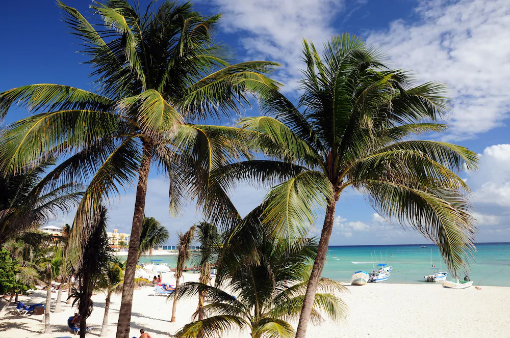 Ocean Plaza Condos by Rentals Your Way