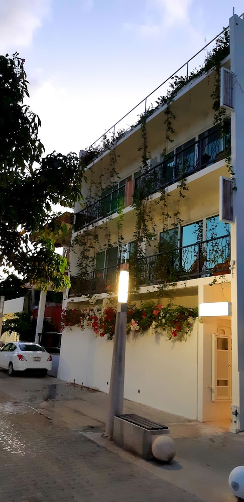Ocean Zen Suites