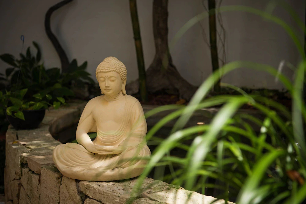 Ocean Zen Suites
