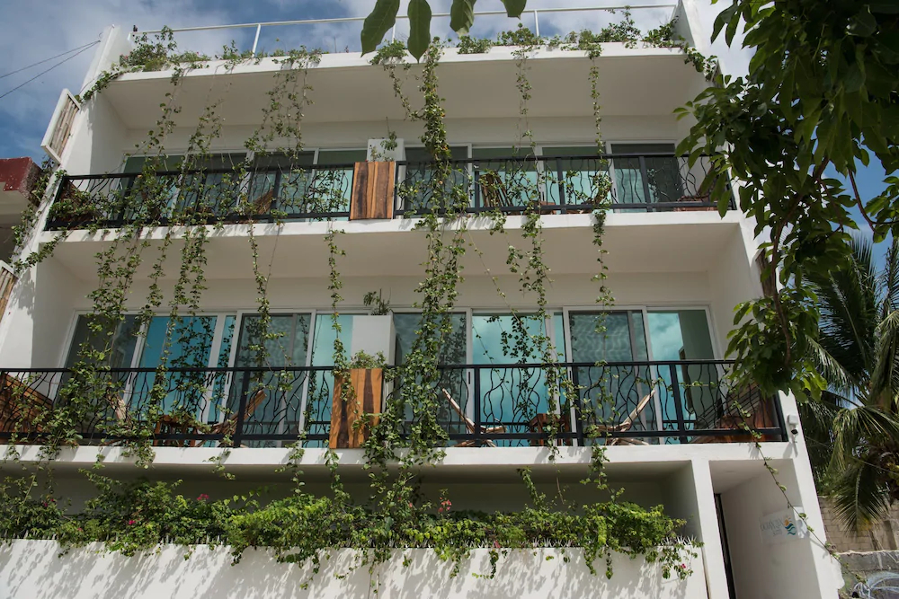 Ocean Zen Suites
