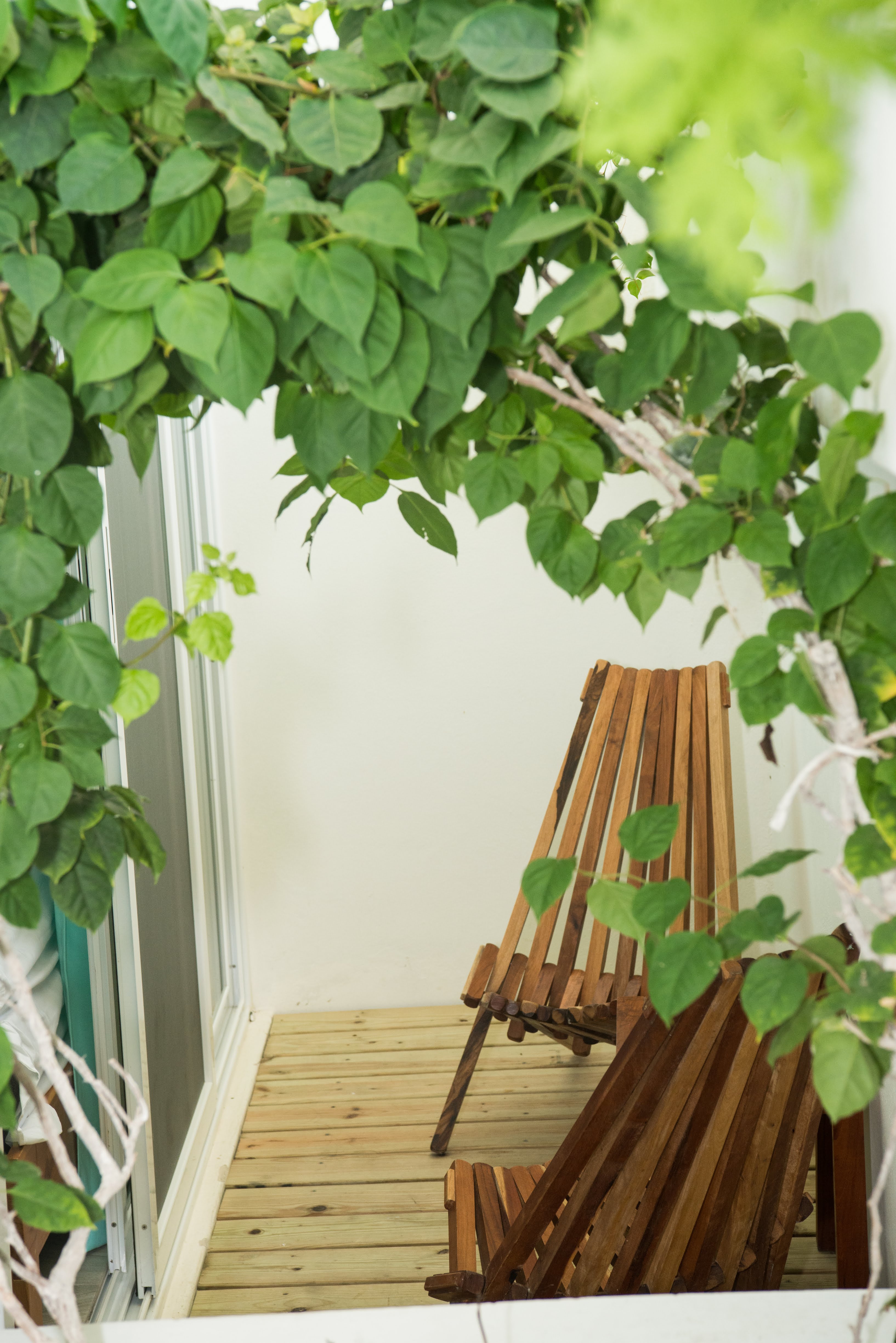 Ocean Zen Suites