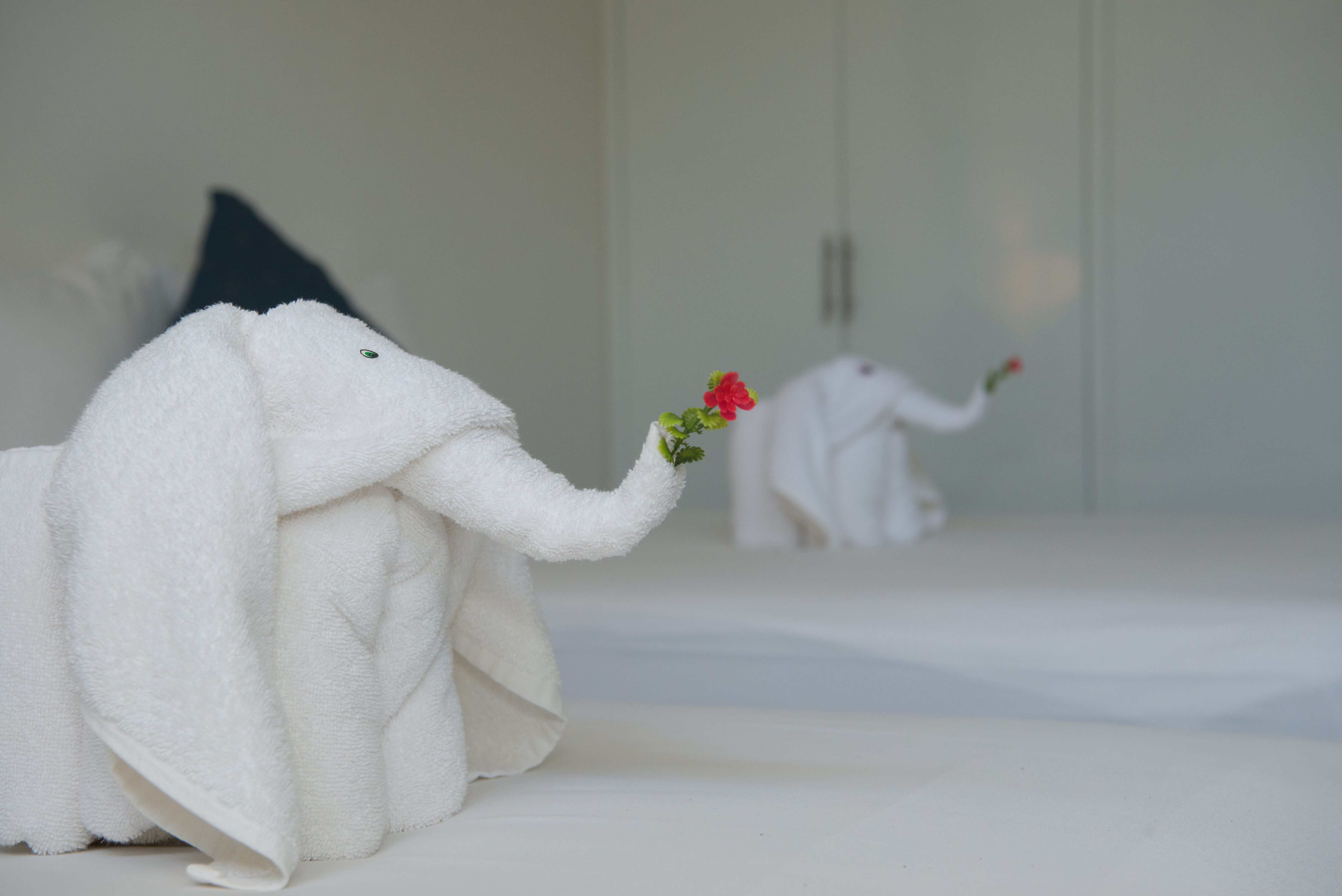 Ocean Zen Suites