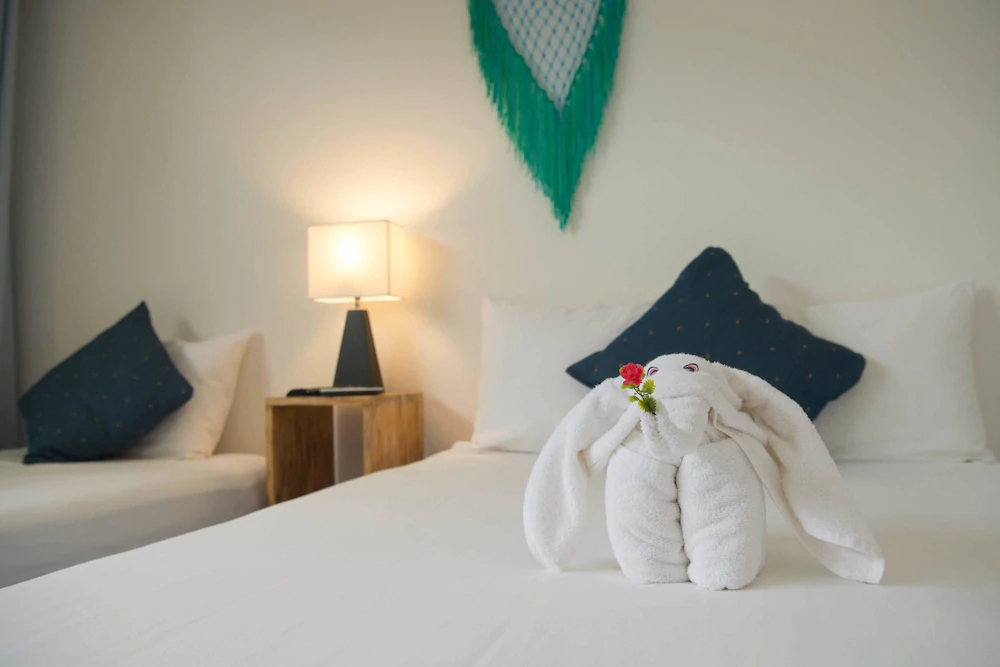Ocean Zen Suites