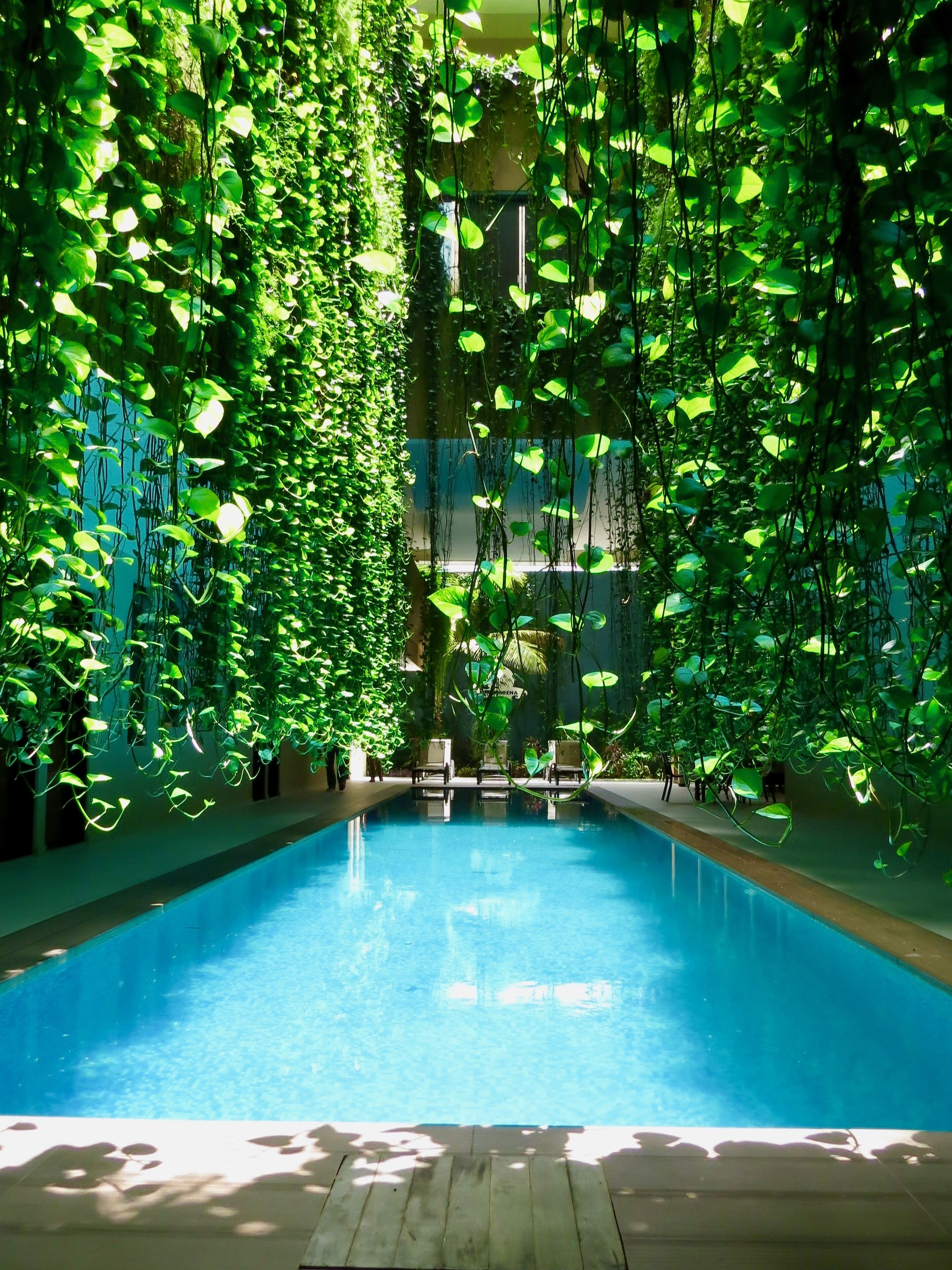Palmarena Hotel & Condominios by Nah Hotels