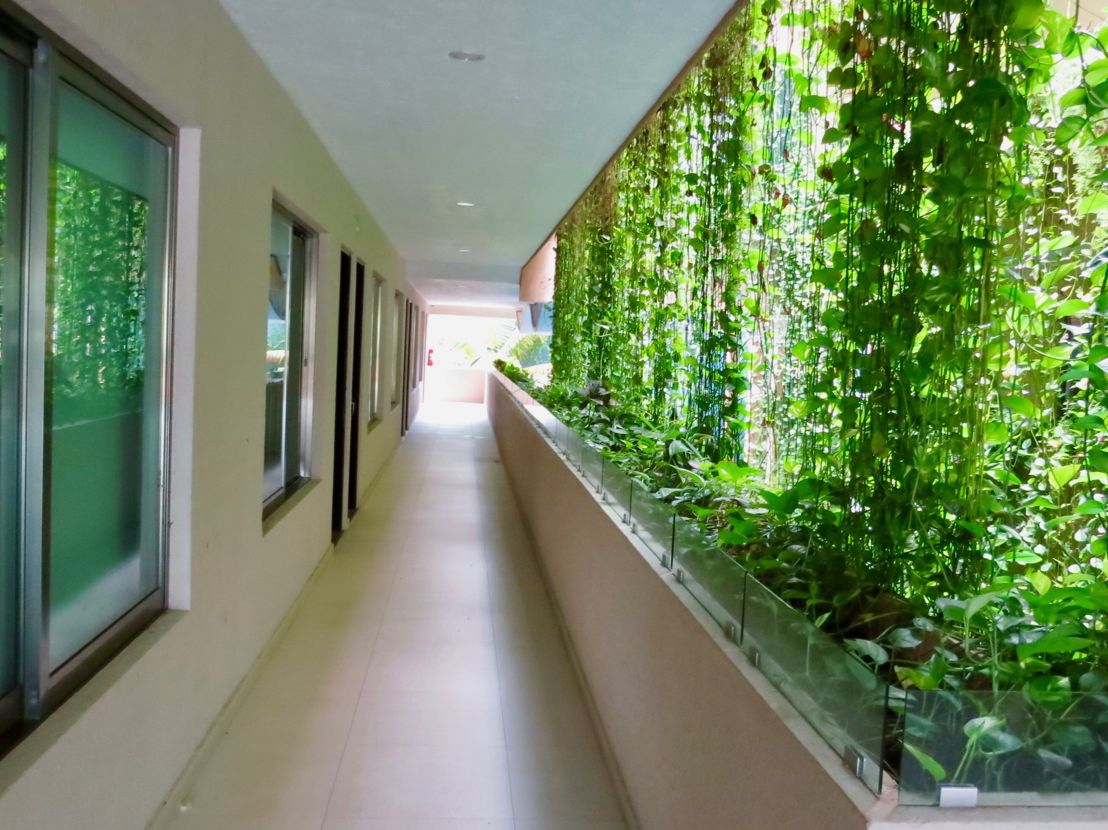 Palmarena Hotel & Condominios by Nah Hotels