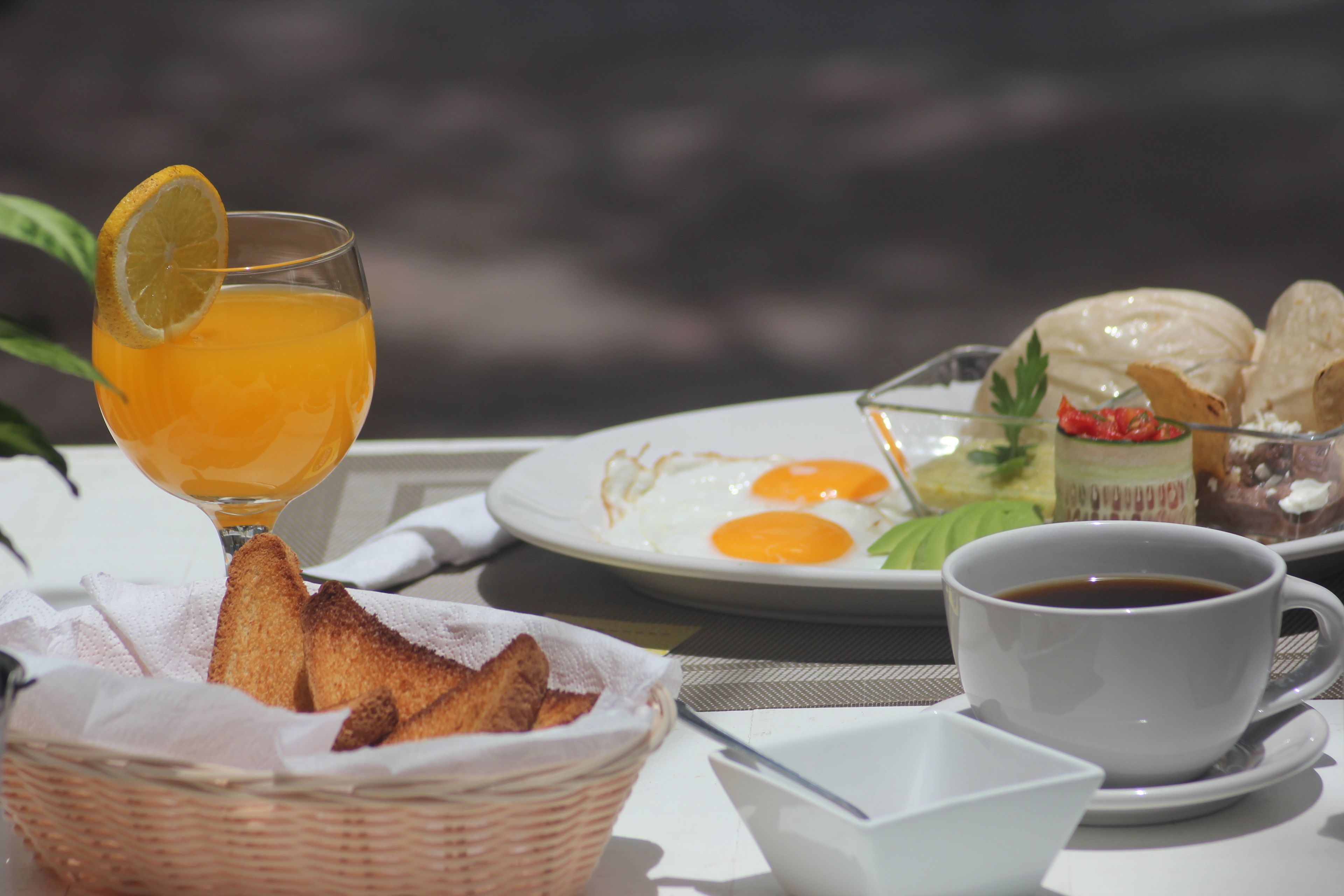 Senses Quinta Avenida Hotel by Artisan