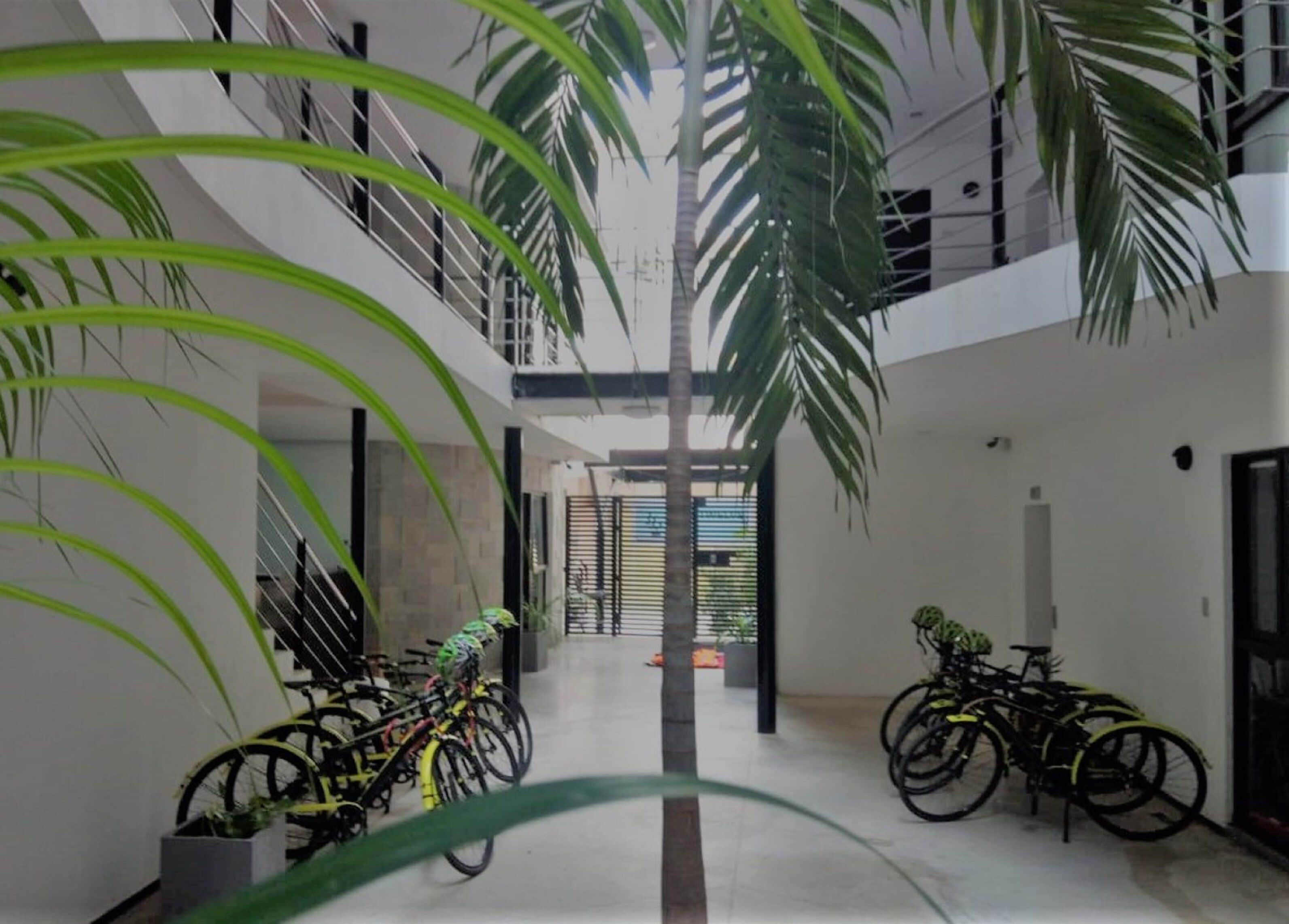 Sole Suites