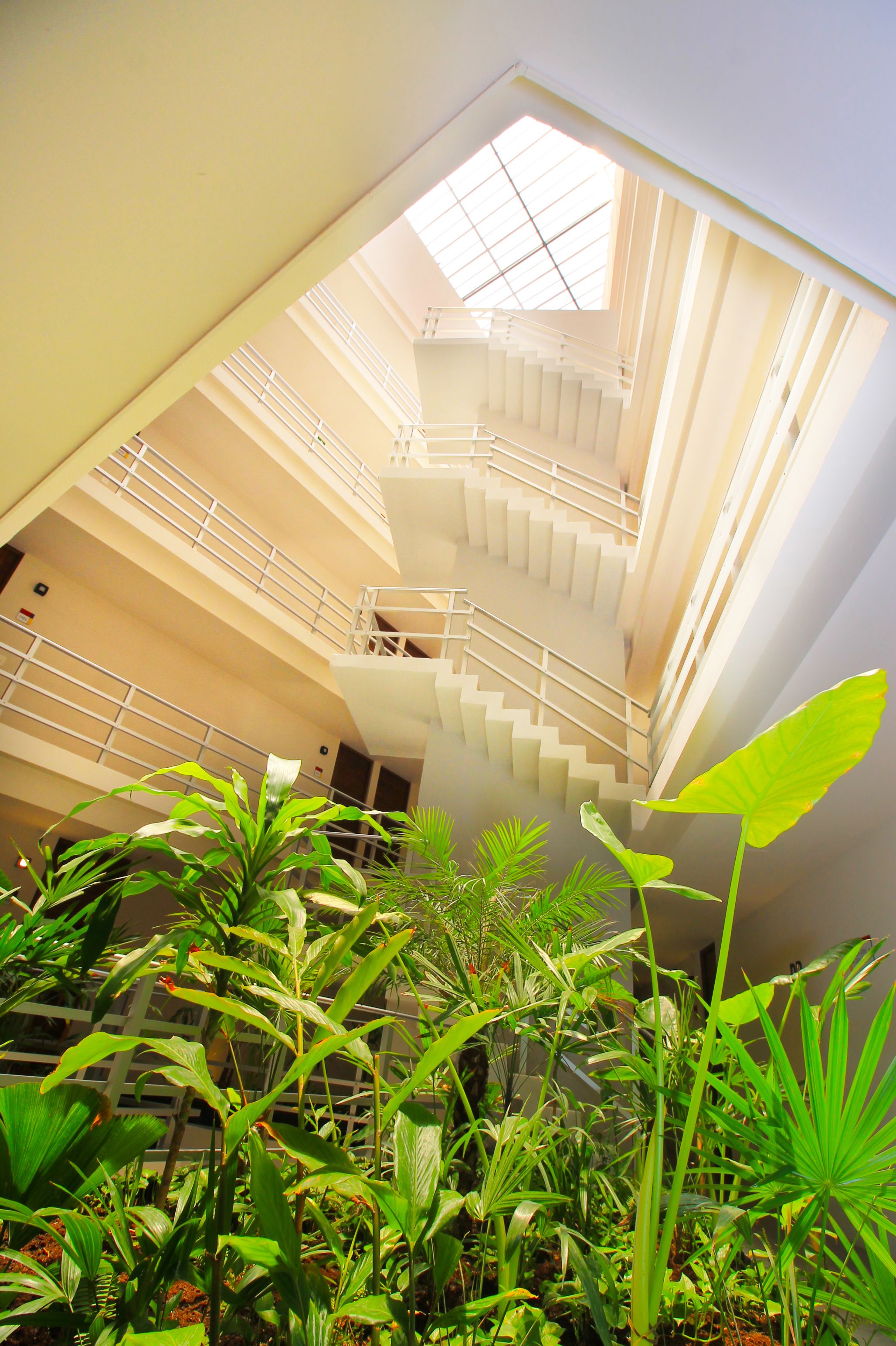 The Gallery Condos