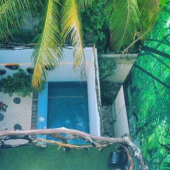 The Green Village Boutique Hotel