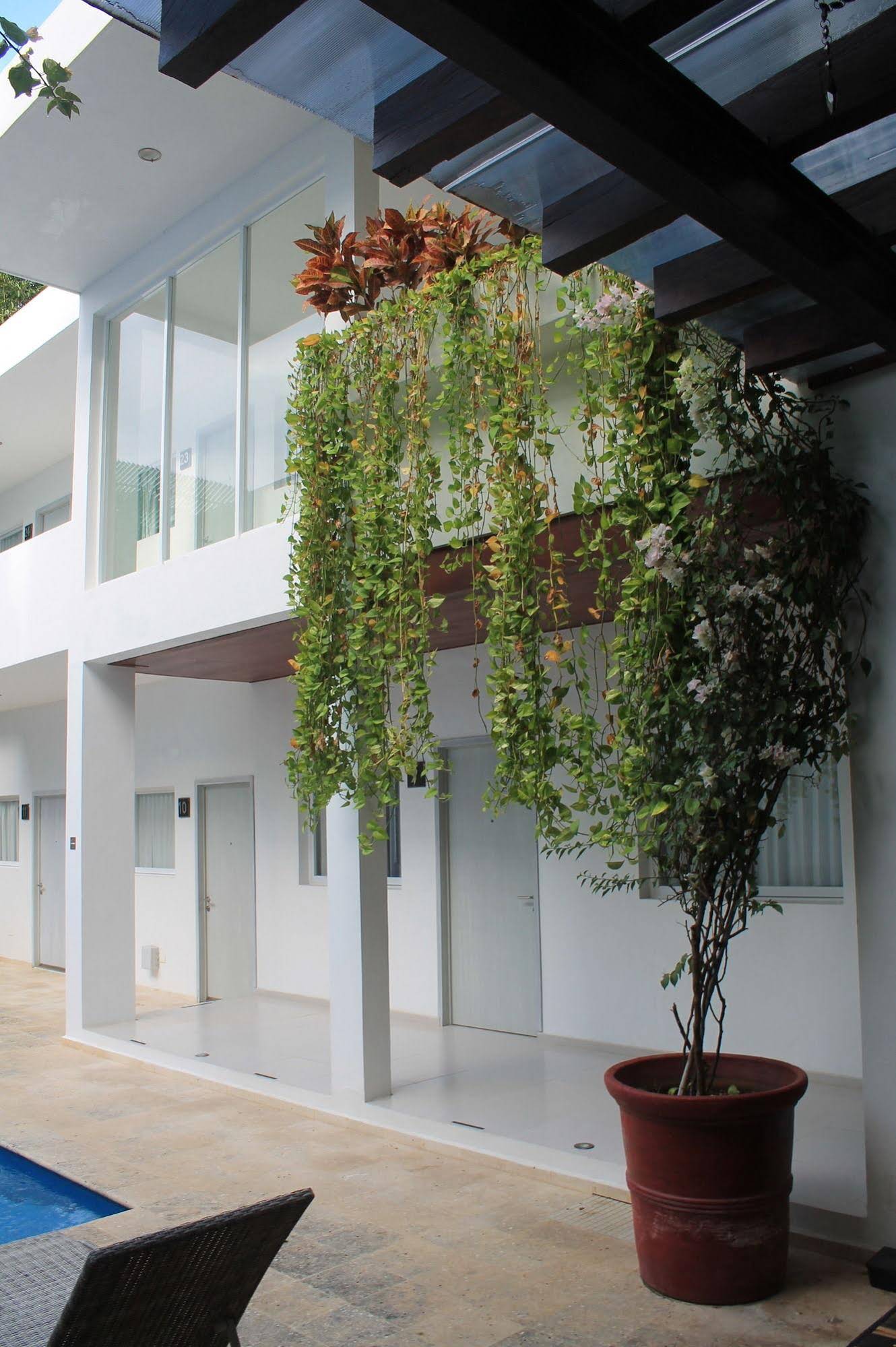 The St Martin Boutique Hotel