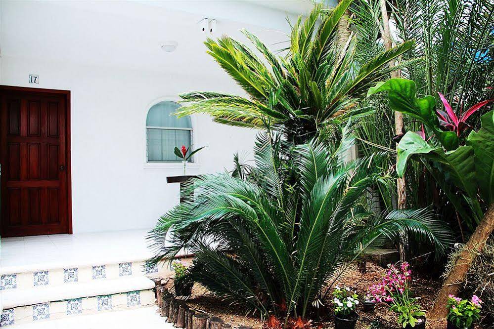 Tropical Casablanca