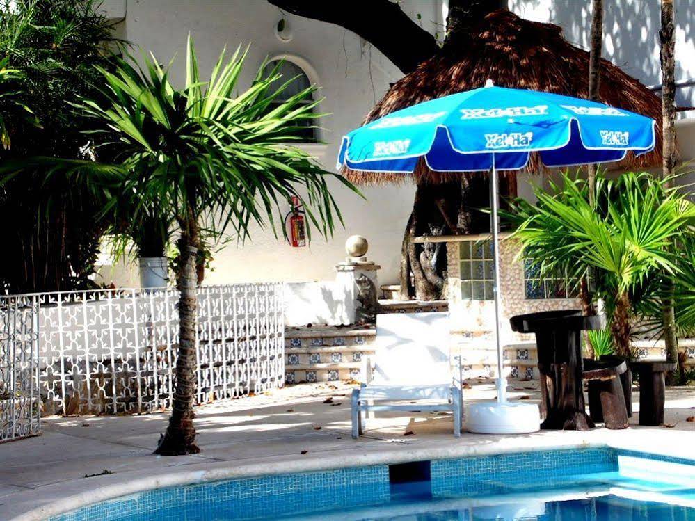 Tropical Casablanca