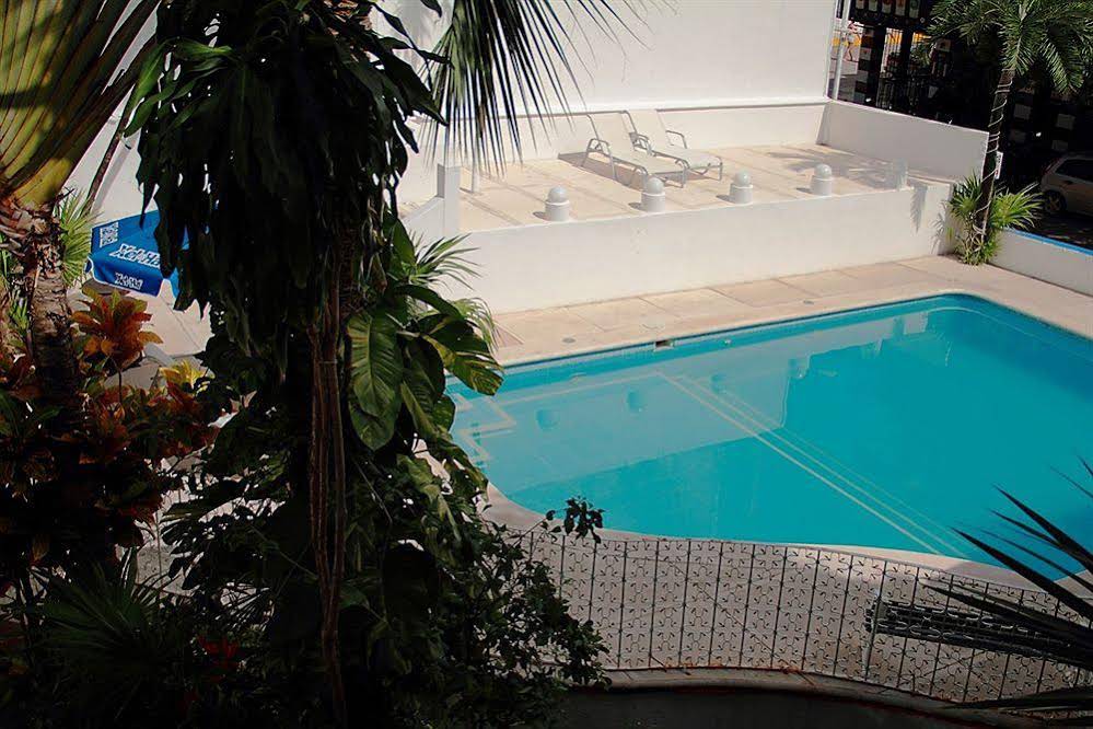 Tropical Casablanca