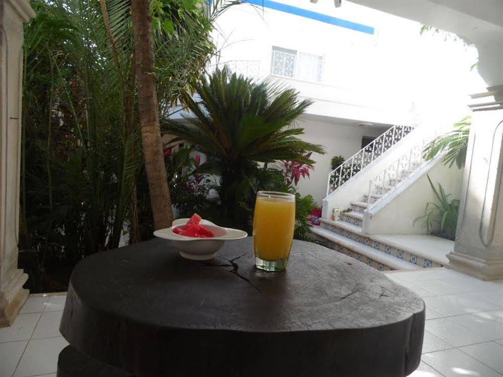 Tropical Casablanca
