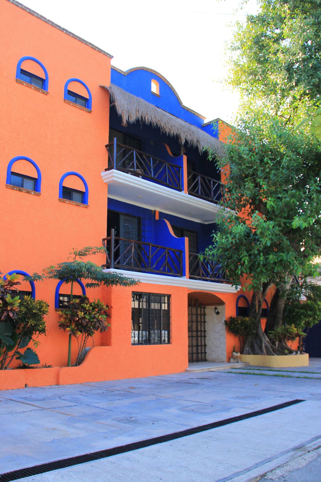 Vida Playa Suites